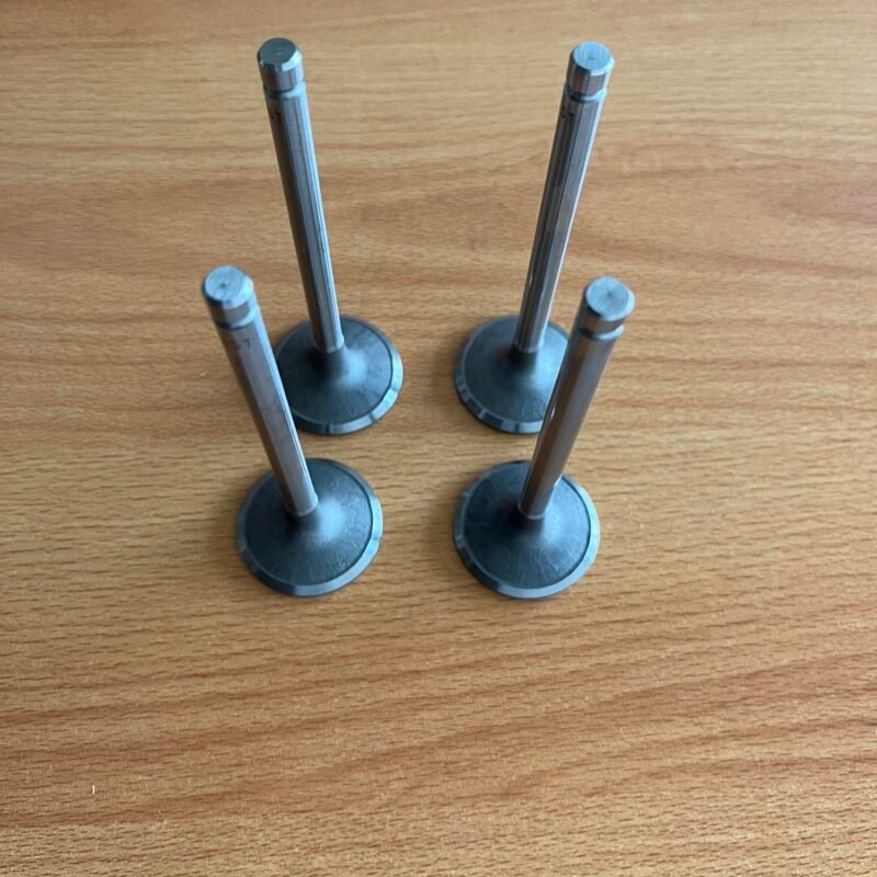 Xinchai A490 BPG Valve Ex