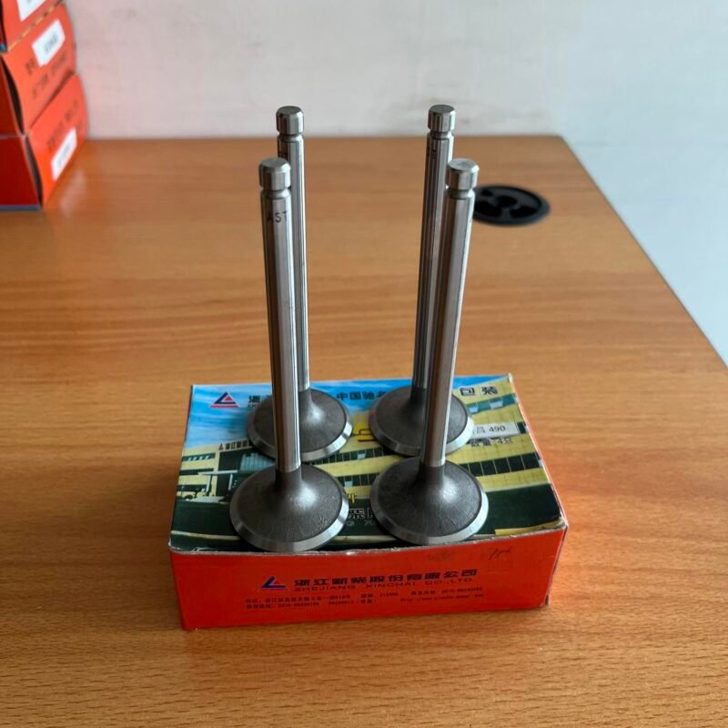 Xinchai A490 BPG Valve In pn.490B-03014